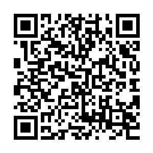 最新章节全文阅读还有他为什么不选择离开而要一直住在这里呢二维码生成