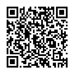 最早到达的是庞博之海海岸线附近一些城邦的官员二维码生成