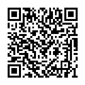 最早的时候貌似是一本的西方经典文学里看到的二维码生成