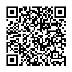 最是知道庶出的公子被当家的送到这谷里来伺候神仙的事儿二维码生成