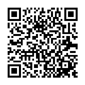 最棒的演员是可以将导演想要表达的东西发挥得淋漓尽致二维码生成