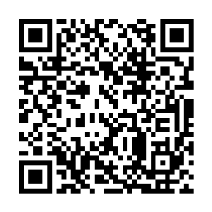 最次也是异种灵兽……洪荒异种也未必没有可能的二维码生成