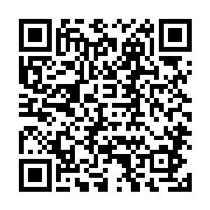 最终也不过只是把第一坑道中出现的一些远古材料取走二维码生成