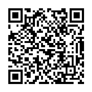 最终也就导致了没有攻击技能的紫月天冥鼠被灭门二维码生成