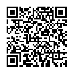 最终他们两个终于确定对面的这个士兵就是许紫烟二维码生成