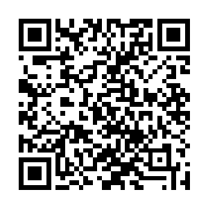 最终他把自己刚刚找到的石头全部叼到西格玛手掌上啦二维码生成