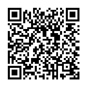 最终所有的视线尽数落在了后方的月儿与菲儿身上二维码生成