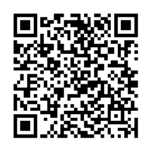 最终累积到了足够多的猎人印记的传奇强者一共有16个二维码生成