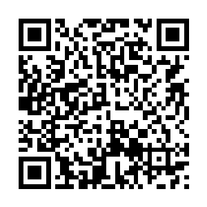 最终给大姨夫在国内剩下一个四表哥养老就完事了二维码生成