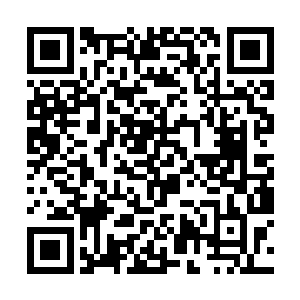 最终还是凭着本体修为已经达到六重巅峰极限的层次二维码生成