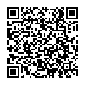 最终还是选择了林梦寒那两条包裹在透明肉色丝袜之内的丰腴雪白的大腿二维码生成