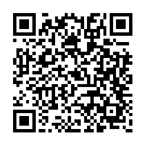 最终这一片血肉落到一个女性食骨部族人的手上二维码生成