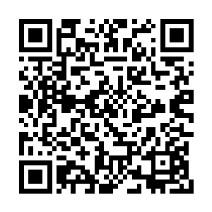 最终选定了其中十三个有着累累恶行的水族部落二维码生成