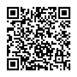 最终都只会便宜了秦方的……这是秦方进阶半步武帝二维码生成