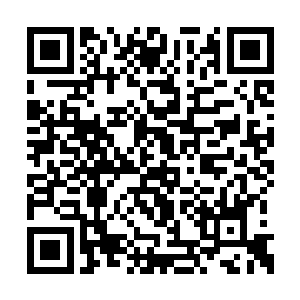 最终鬼影很果断的融入了鬼气中逃得无影无踪了二维码生成