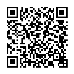 最让她无法容忍的是赵晓冉竟然还挺了个肚子朝她宣告主权二维码生成