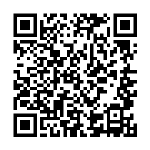 最起码也要等自己将定丰城那些人身上的血道秘术解除了二维码生成