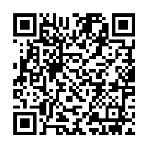 最起码在天域中没有几个人能够破得了许德拉的防御二维码生成