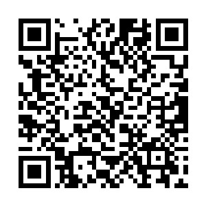 最起码我们炼丹这一支家族需要的药材问题就解决了二维码生成