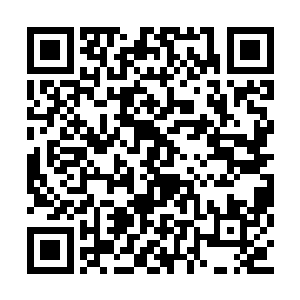 最起码我还有证据和证人证明方案是我想出来的二维码生成