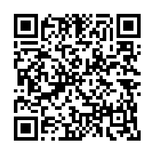 最近传言长阳府的那个怪胎已经达到圣王境界了二维码生成