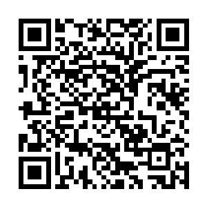 最近似乎三座巫师塔的高层们联手举办了一次实战比赛二维码生成
