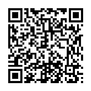 最近几年韩国夫人着实能影响一批的官员高升或是贬谪二维码生成