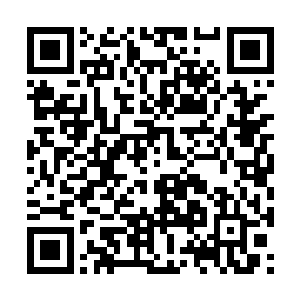 最近刘晓雪经常每天很早的时候就到操场训练去了二维码生成