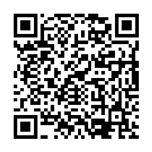 最近比较倒霉导致积分一直上不去的天阶四星才会贪婪这十多万二维码生成