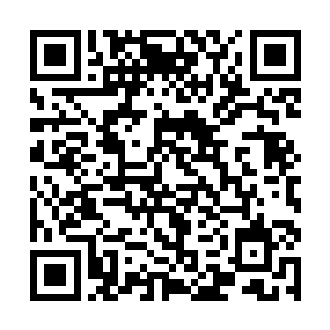 最近河道南岸的河底已反复加筑以堵住河道溢流南移二维码生成