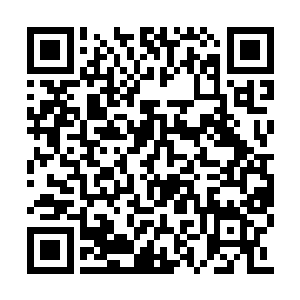 最近老陆家的长河船队全都载流民迁移忙不过来二维码生成