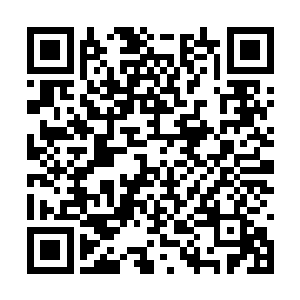 最郁闷的是周围围观的人都瞪大眼睛看着场中一切二维码生成