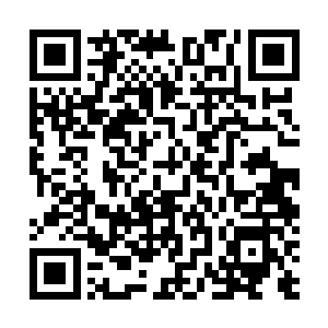 最重要的是龙傲天发现这个年轻人的资质竟然十分的普通二维码生成