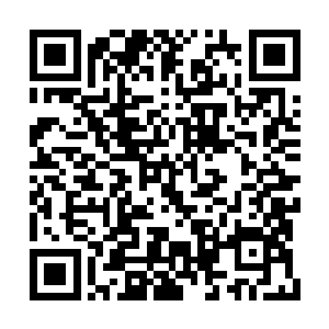 最高的白穆几个人距离破道中期也仅有一线之隔二维码生成