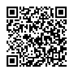 最高议会在曾经的很长一段时间里面都是人类的最高统治者二维码生成