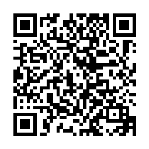 月娥接触的所有人全部都查出来……一层层地顺藤摸瓜二维码生成