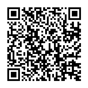 月璃一双琉璃眸淡淡凝视着东方青妍因羞涩而愈加妩媚无双的娇颜二维码生成