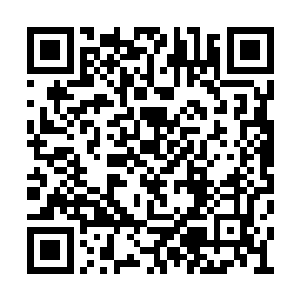 月神的神力不断化作清泉般的纯粹原力供他吸取二维码生成