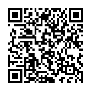 月霜月寒偷偷摸摸地将两颗小脑袋也凑在了书房门口二维码生成