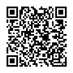 月霜月寒等人尽都以一种欲待杀人的目光盯着某人二维码生成