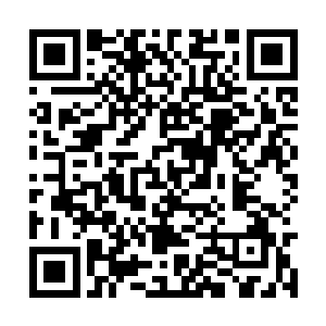 月魔战队那位神秘莫测的大老板金心月一切的一切二维码生成