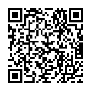 有一个天天跟在飞达屁股后面跑的小子怒气冲冲的指着龙野说道二维码生成