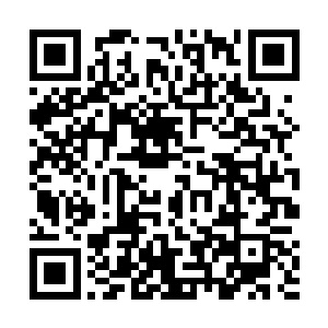 有一个存储着我们柏迪迪人一万年的科技成果的存储器二维码生成
