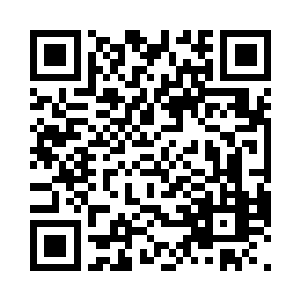 有一个小家伙还将脑袋凑到了白昊脸上二维码生成