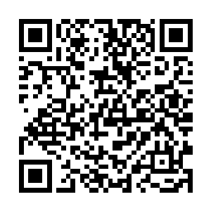 有一份口供是由影卫头领向忠带队总共六人一起外出二维码生成