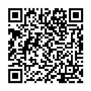 有一位满脸胡子的中年大叔居然很兴奋地加入了讨论二维码生成