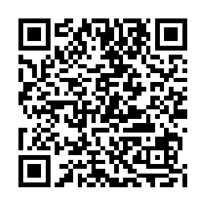 有一位通玄后期境界的修士目露期待的目光说道二维码生成