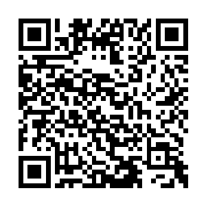 有一只或者几只充满了力量的大手正在进行布局二维码生成