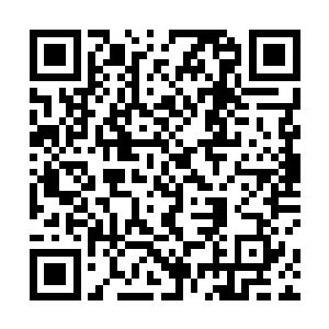 有一股浩瀚如汪洋般的强大气息开始缓缓的苏醒了过来二维码生成