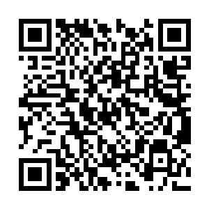有一股非常强大的神火法则留在皓月仙子的元神中二维码生成